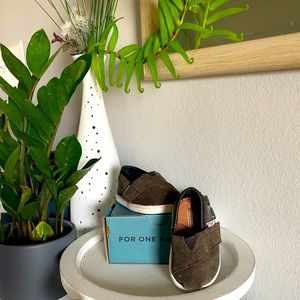 Tiny Toms Tarmac Olive Micro Corduroy shoes